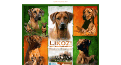 Desktop Screenshot of likozi.nl